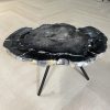 Versteend hout salontafel