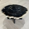 Versteend hout salontafel