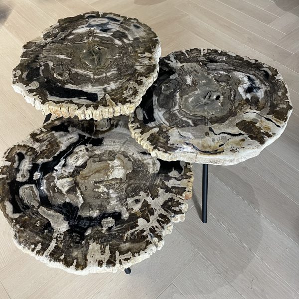 Couchtisch aus versteinertem Holz