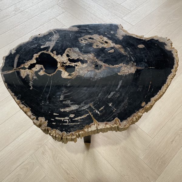 Versteend hout salontafel