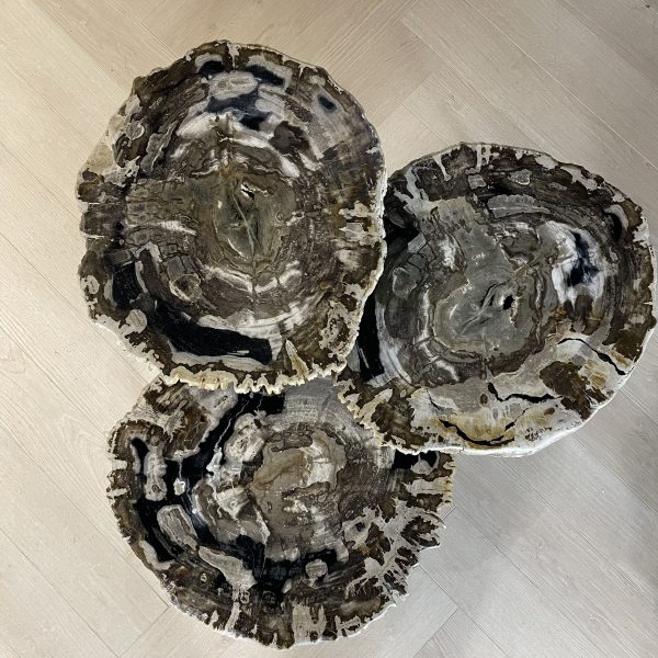 Couchtisch aus versteinertem Holz