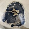 Couchtisch aus versteinertem Holz