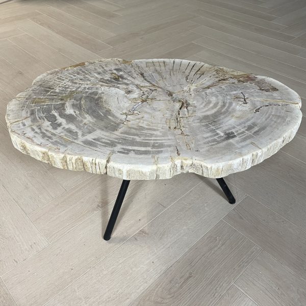 Couchtisch aus versteinertem Holz