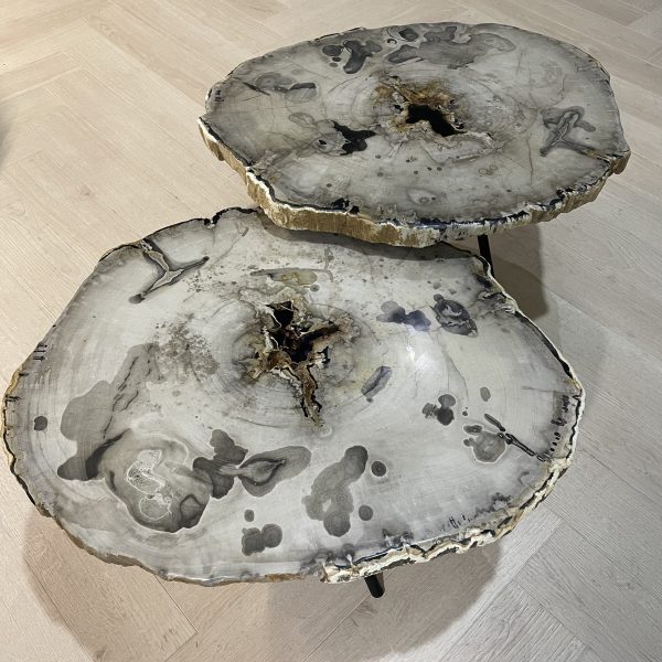 Couchtisch versteinertes Holz