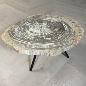 Versteend hout salontafel