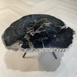 Versteend hout salontafel