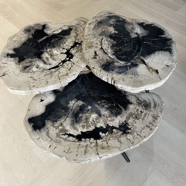 Couchtisch aus versteinertem Holz