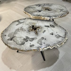 Versteend hout salontafel