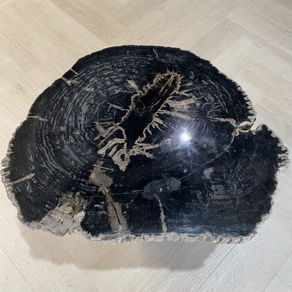 Versteend hout salontafel