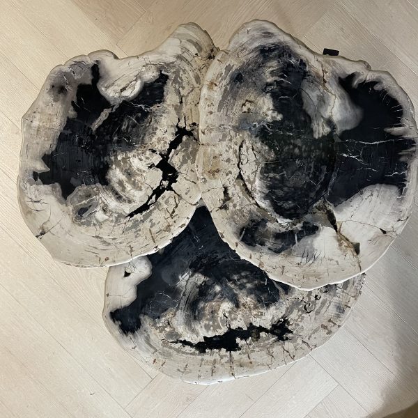 Couchtisch aus versteinertem Holz