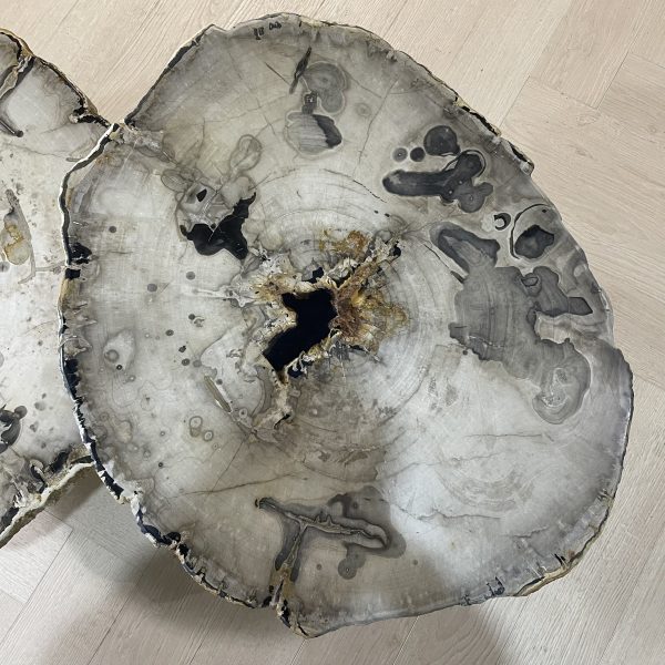 Couchtisch aus versteinertem Holz