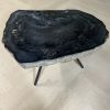 Versteend hout salontafel