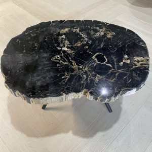 Versteend hout salontafel