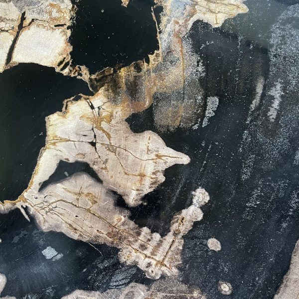 Couchtisch aus versteinertem Holz