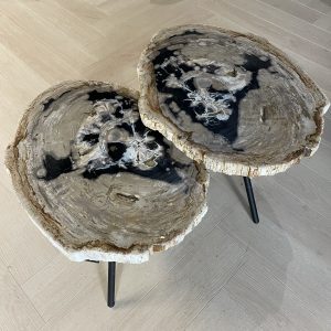 Couchtisch aus versteinertem Holz