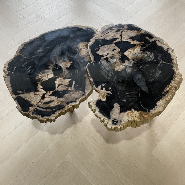 Couchtisch aus versteinertem Holz