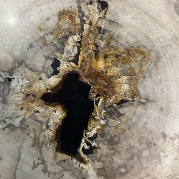 Couchtisch aus versteinertem Holz