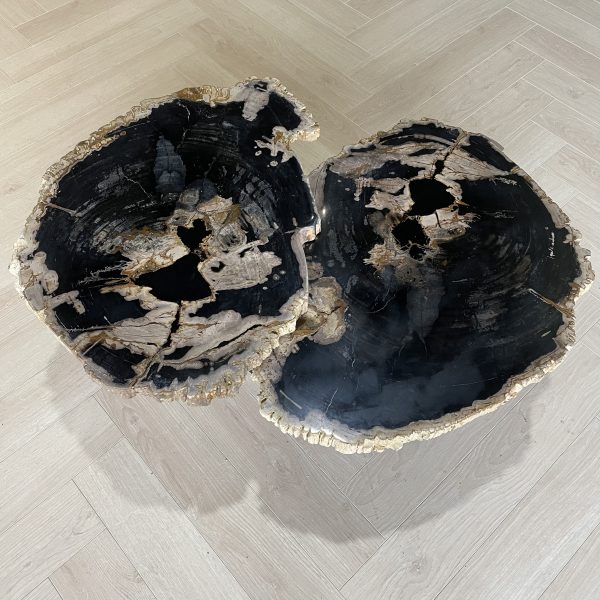 Couchtisch aus versteinertem Holz