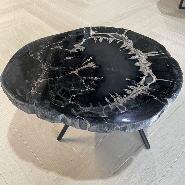 Versteend hout salontafel