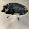 Versteend hout salontafel