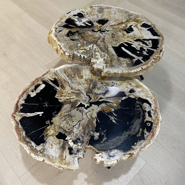 Versteend hout salontafel