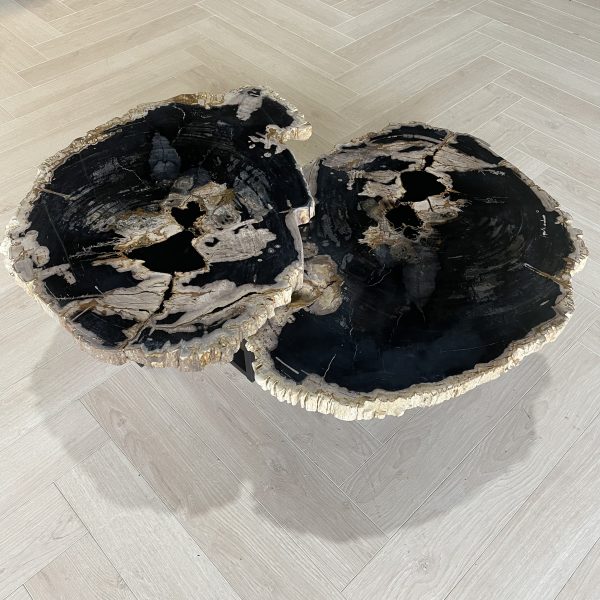 Couchtisch aus versteinertem Holz