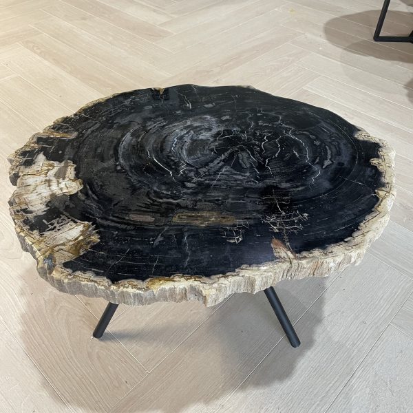 Couchtisch aus versteinertem Holz