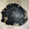 Versteend hout salontafel