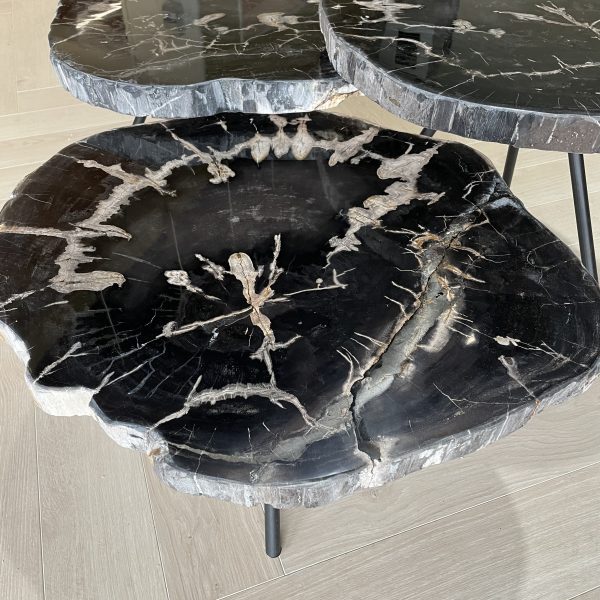 Couchtisch aus versteinertem Holz
