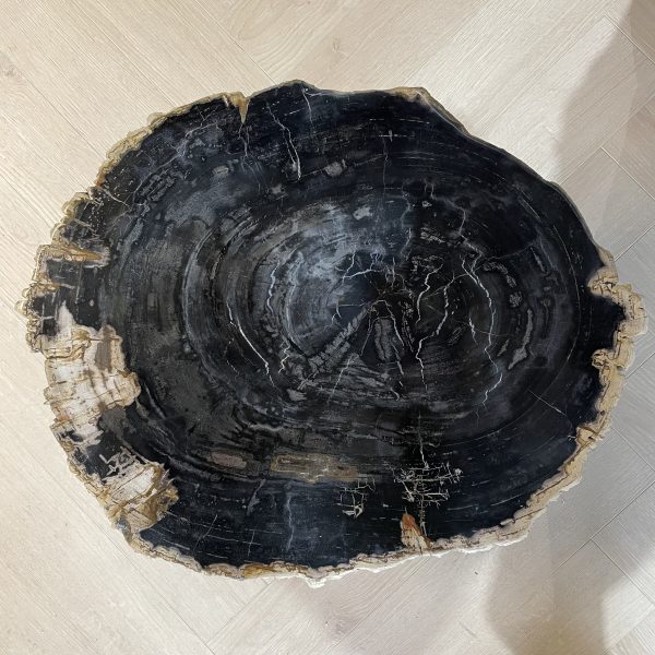 Couchtisch aus versteinertem Holz