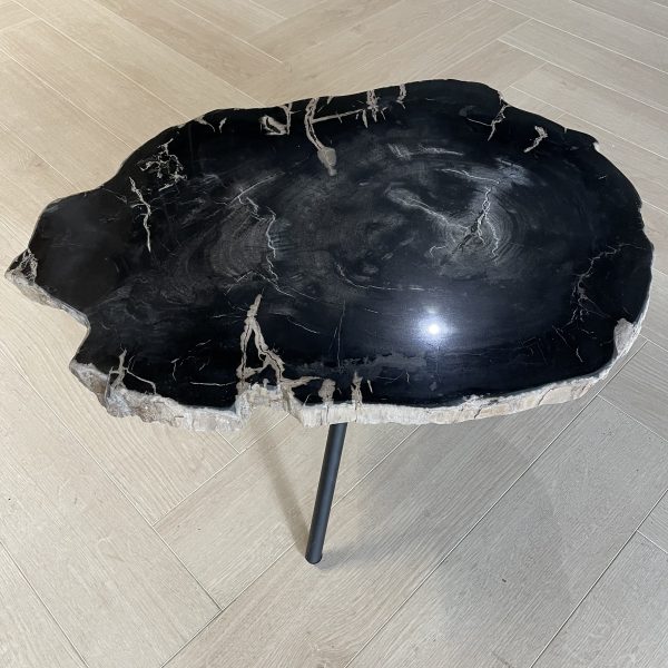 Versteend hout salontafel