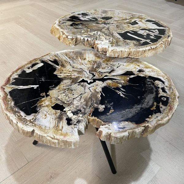 Versteend hout salontafel