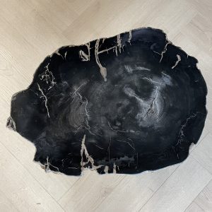 Versteend hout salontafel