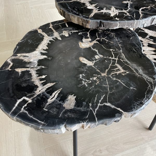 Couchtisch aus versteinertem Holz