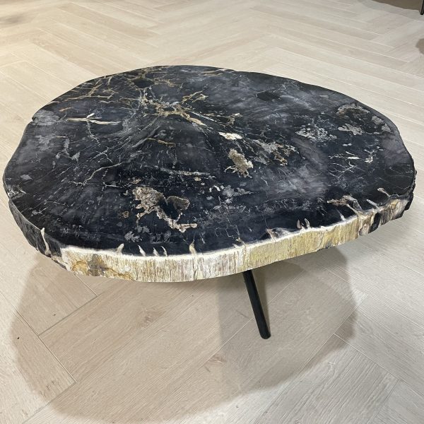 Couchtisch aus versteinertem Holz