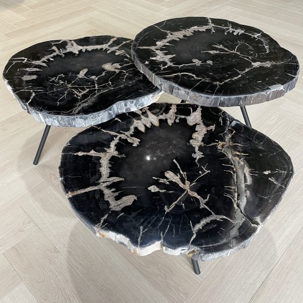Couchtisch aus versteinertem Holz