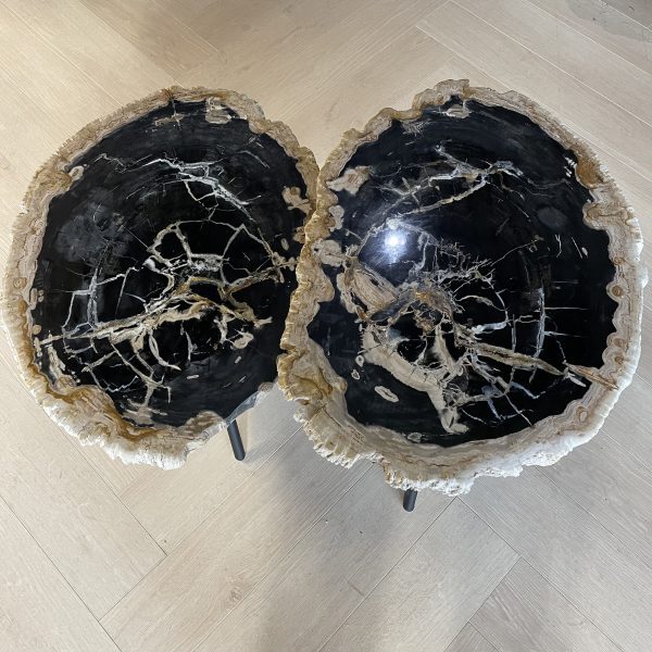 Couchtisch aus versteinertem Holz