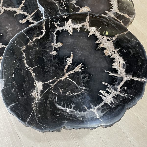 Couchtisch aus versteinertem Holz