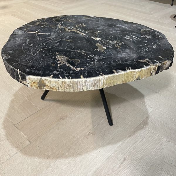 Couchtisch aus versteinertem Holz