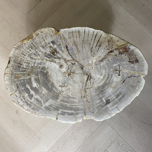 Couchtisch aus versteinertem Holz