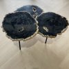Versteend hout salontafel