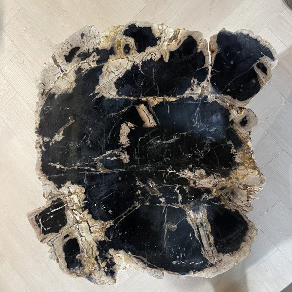 Couchtisch aus versteinertem Holz