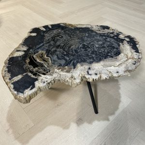 Versteend hout salontafel