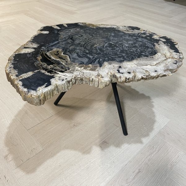 Versteend hout salontafel