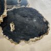 Versteend hout salontafel