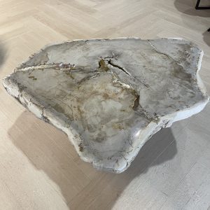 Versteend hout salontafel