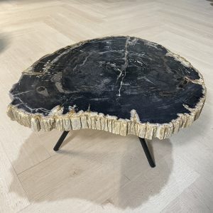 Versteend hout salontafel