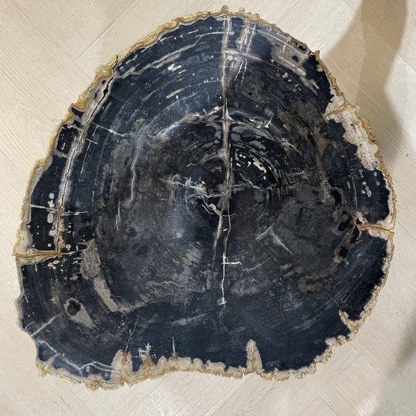 Versteend hout salontafel