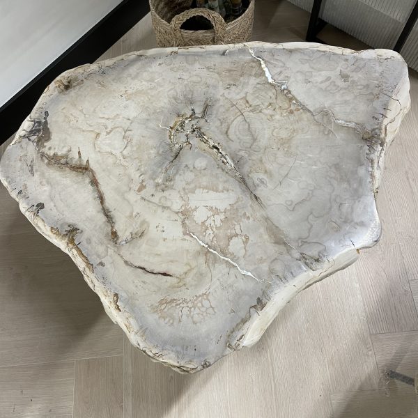 Couchtisch aus versteinertem Holz