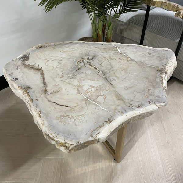Couchtisch aus versteinertem Holz